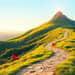 Build up from small wins to long-term financial milestones